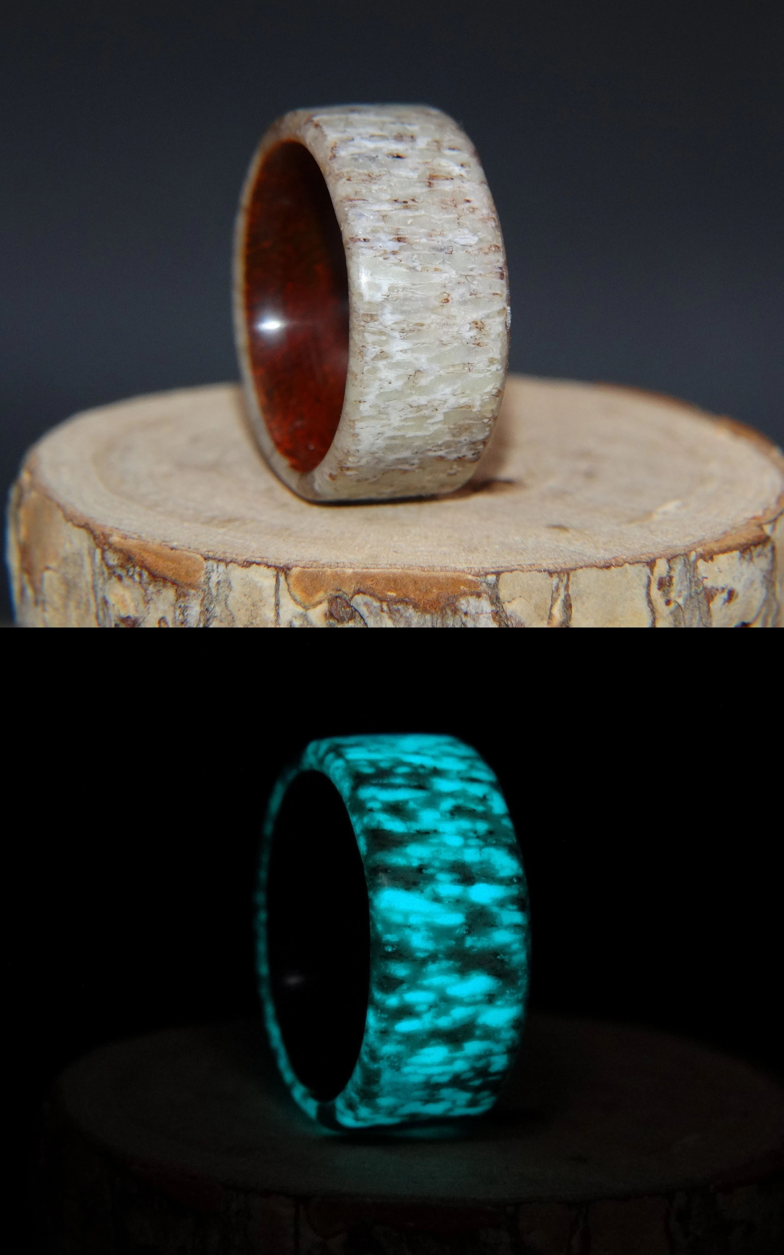 Bentwood Ring -  "Aglow" Deer Antler on Padauk Wood Core with Phosphorescent Stabilized