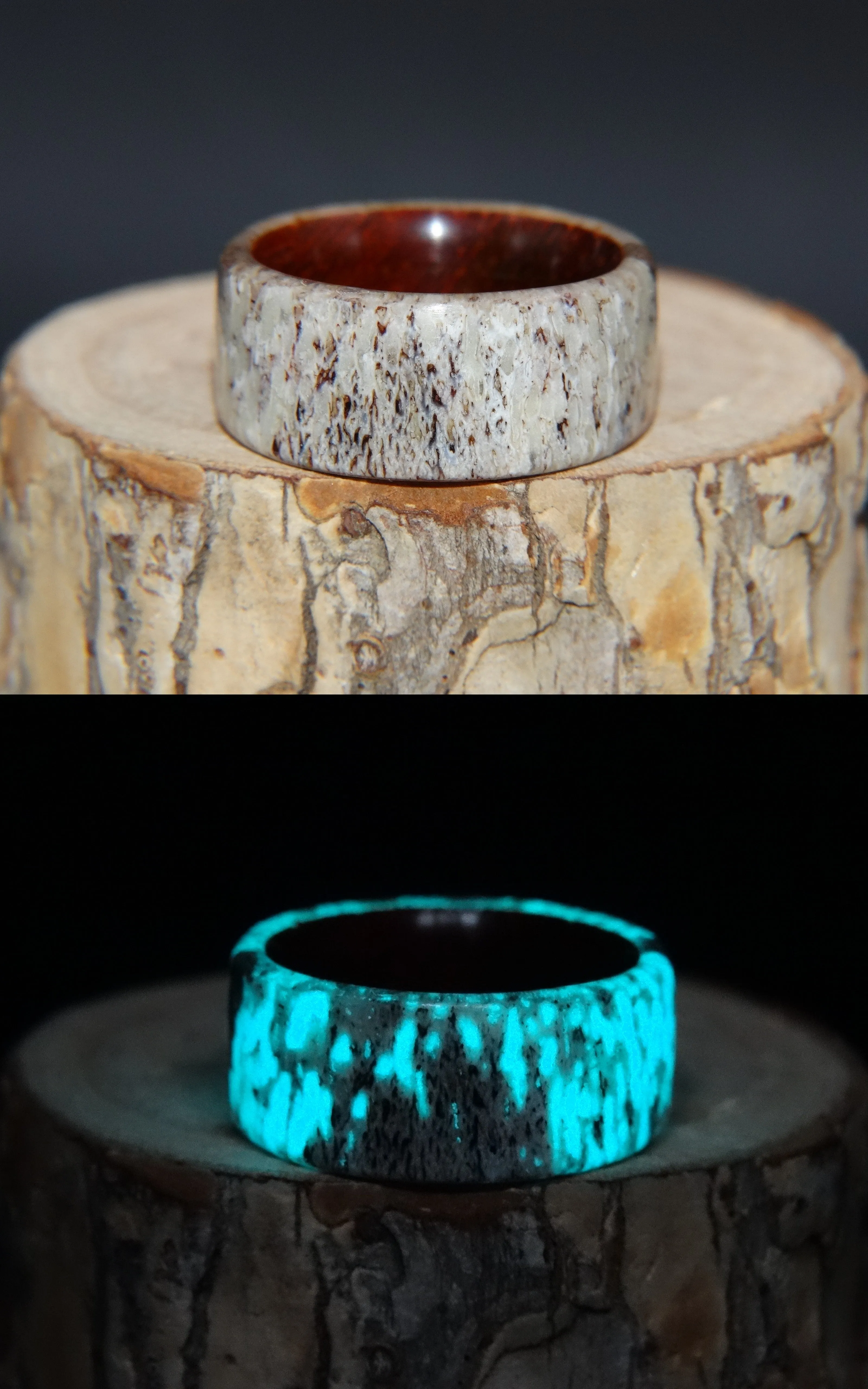 Bentwood Ring -  "Aglow" Deer Antler on Padauk Wood Core with Phosphorescent Stabilized