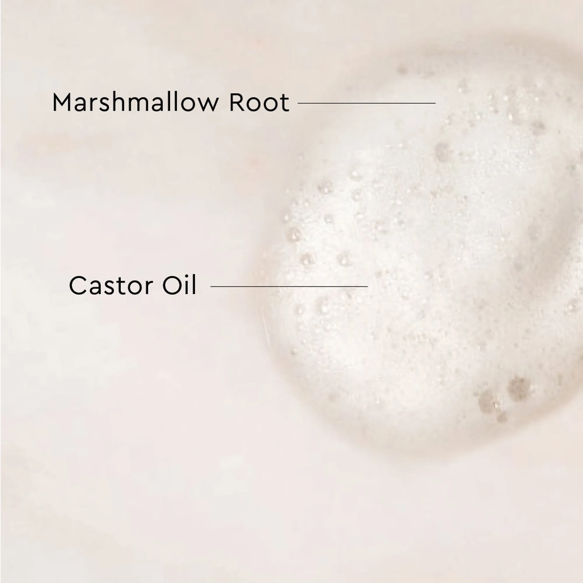 Palo Santo Curl Mousse